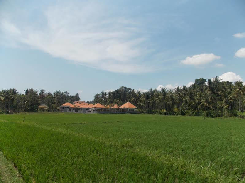 Asri Sari Villa Ubud Bagian luar foto